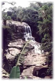 Cachoeira - Passeios Ecológicos - Hotel Mar