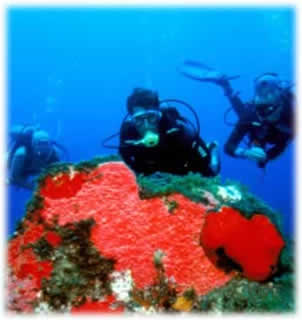 Mergulho em Ubatuba - Hotel Mar