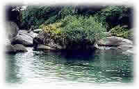 Rios Mata Atlântica - Hotel Mar