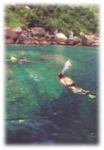 Mergulho Livre - Hotel Mar