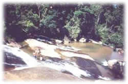 Cachoeira Promirim Ubatuba - Hotel Mar