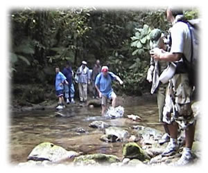 Trilhas - Turismo Ecológico Ubatuba - Hotel Mar